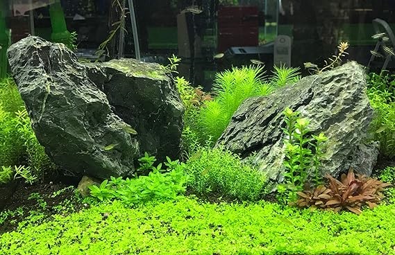 product_small_img1